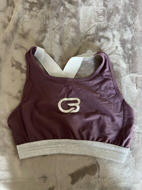 Purple & Silver CycleBar Sports Bra with Cross-Back Straps